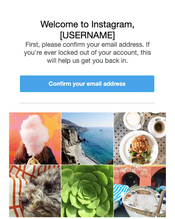 Instagram email