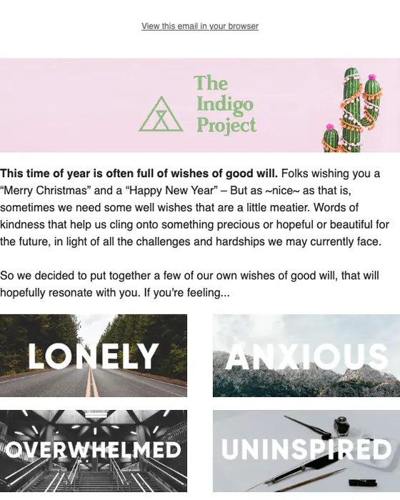 The Indigo Project seasonal email
