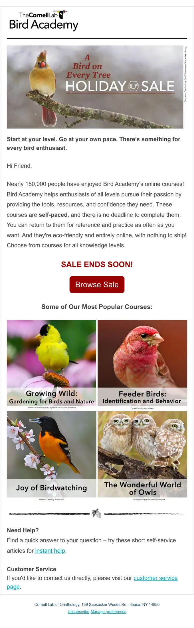 The Cornell Lab of Ornithology sale email, full length