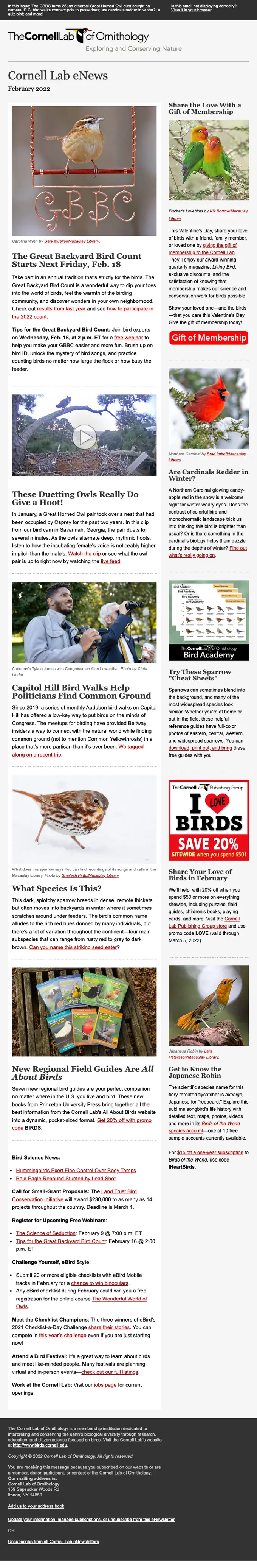 Cornell Lab of Ornithology newsletter email, full length