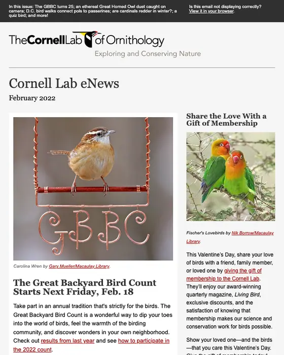 Cornell Lab of Ornithology newsletter email