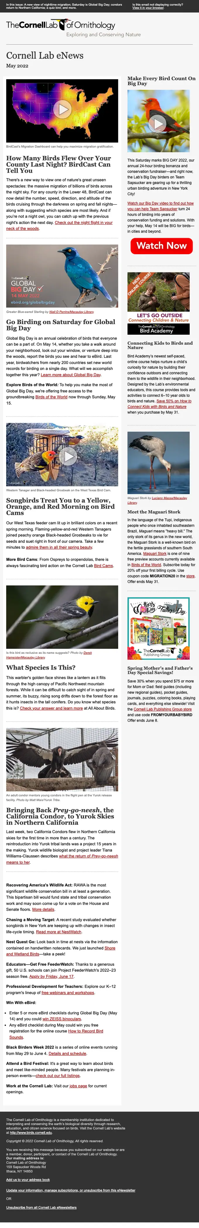 Cornell Lab of Ornithology newsletter email, full length