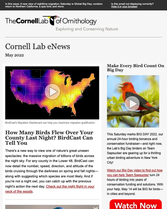 Cornell Lab of Ornithology newsletter email
