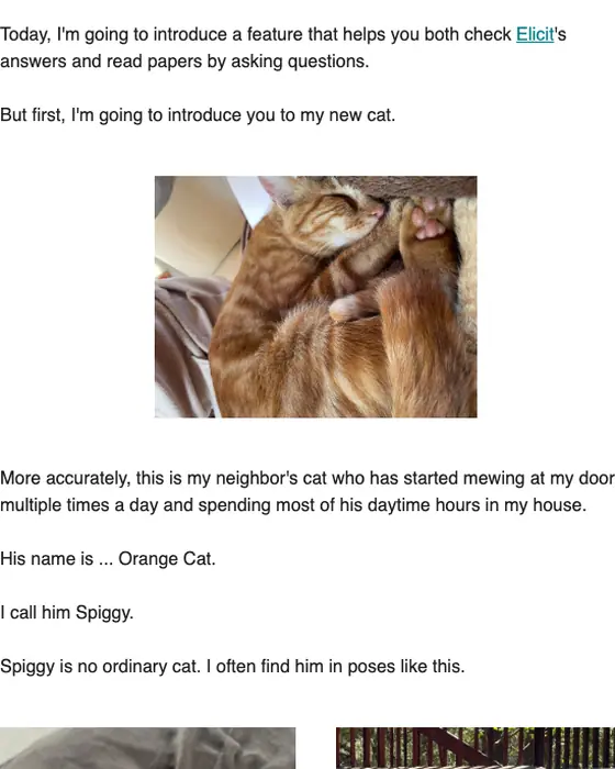 Elicit newsletter email