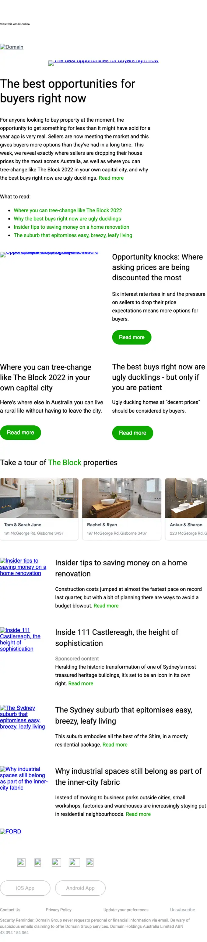 Domain newsletter email, full length