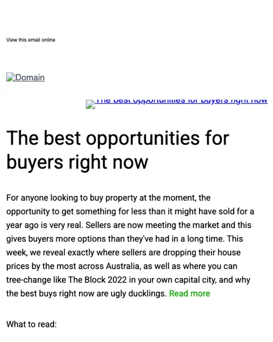 Domain newsletter email