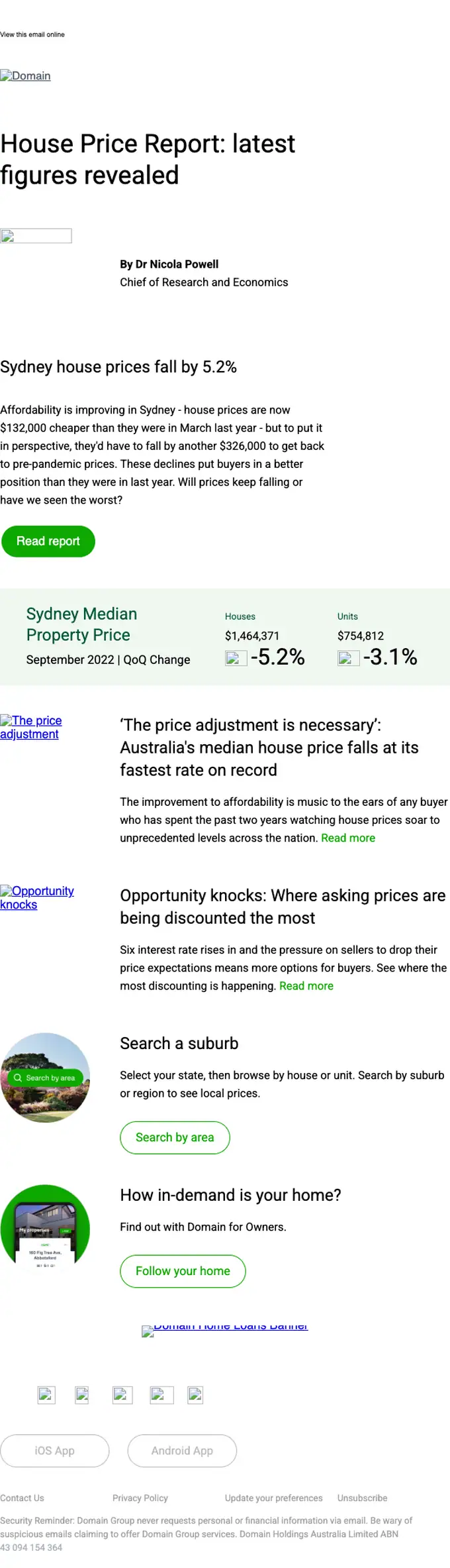 Domain newsletter email, full length