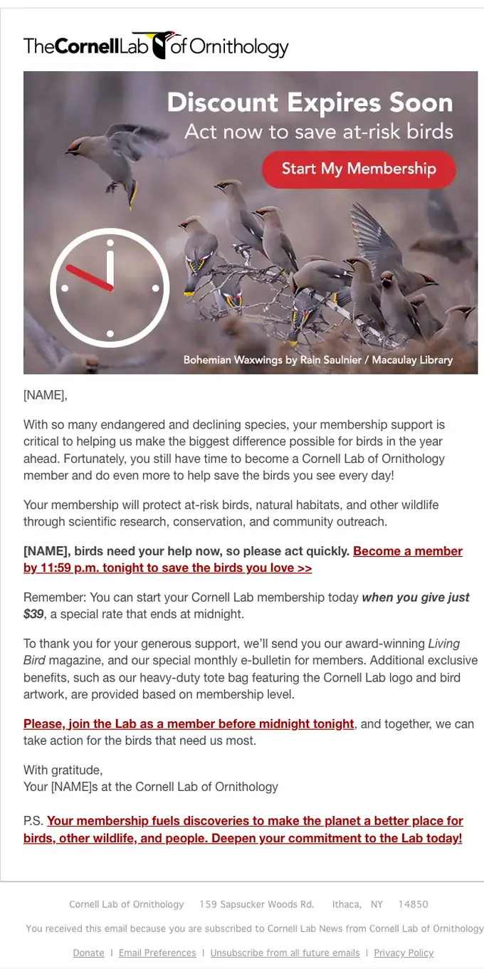 Cornell Lab of Ornithology promotional email, full length
