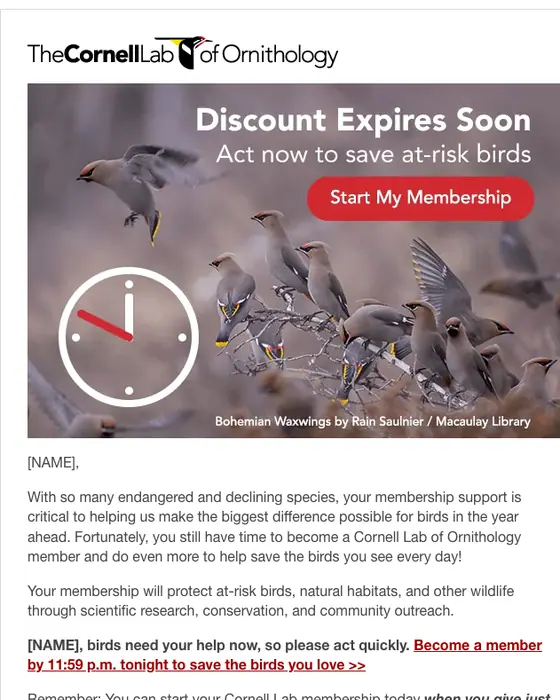 Cornell Lab of Ornithology promotional email
