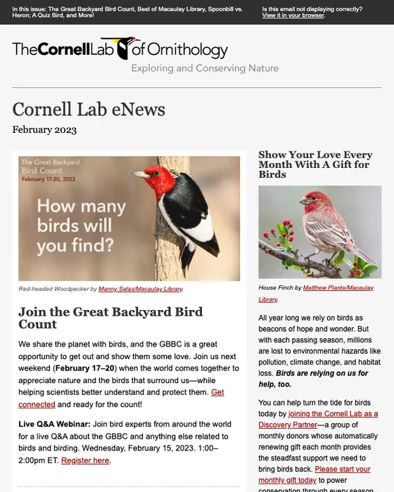 Cornell Lab of Ornithology newsletter email
