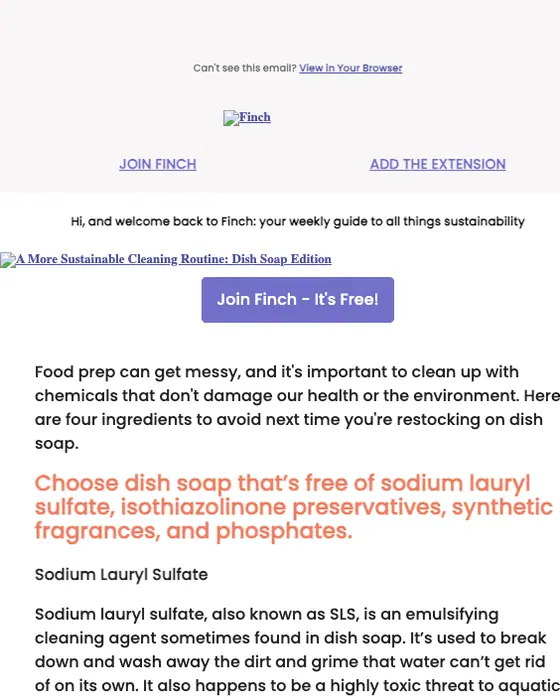 Finch newsletter email