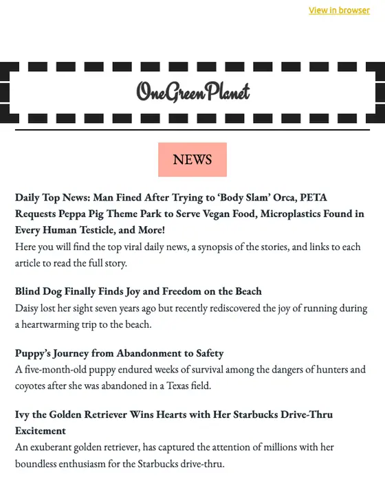 One Green Planet newsletter email