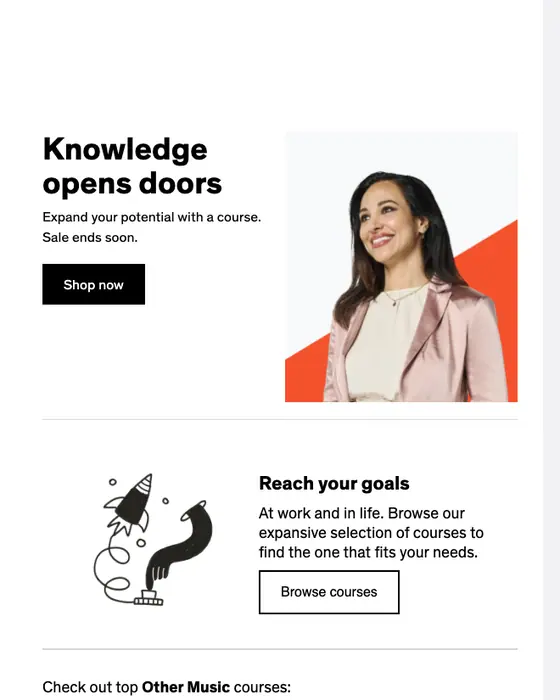 Udemy sale email