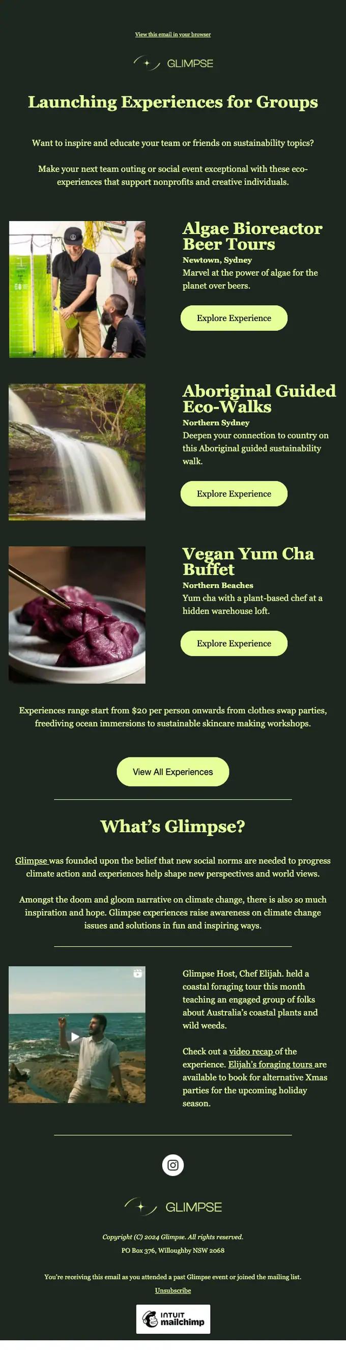 Glimpse product launch email, full length