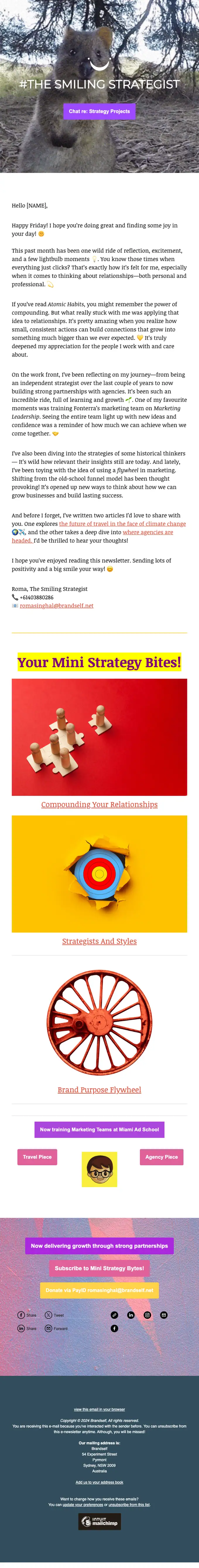 Brandself newsletter email, full length