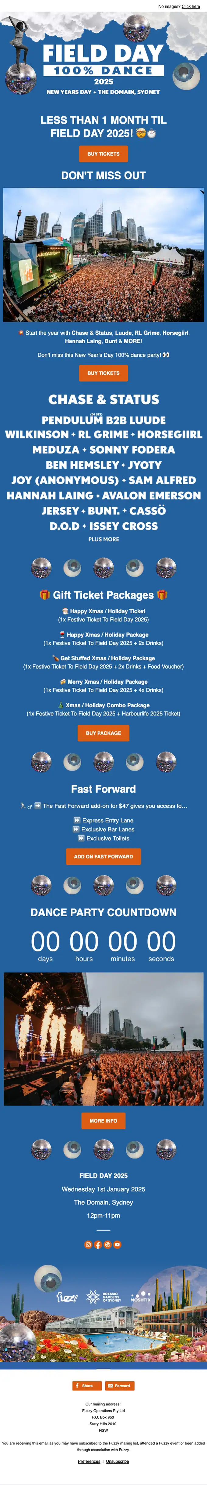 Field Day 2025 promotional email, full length