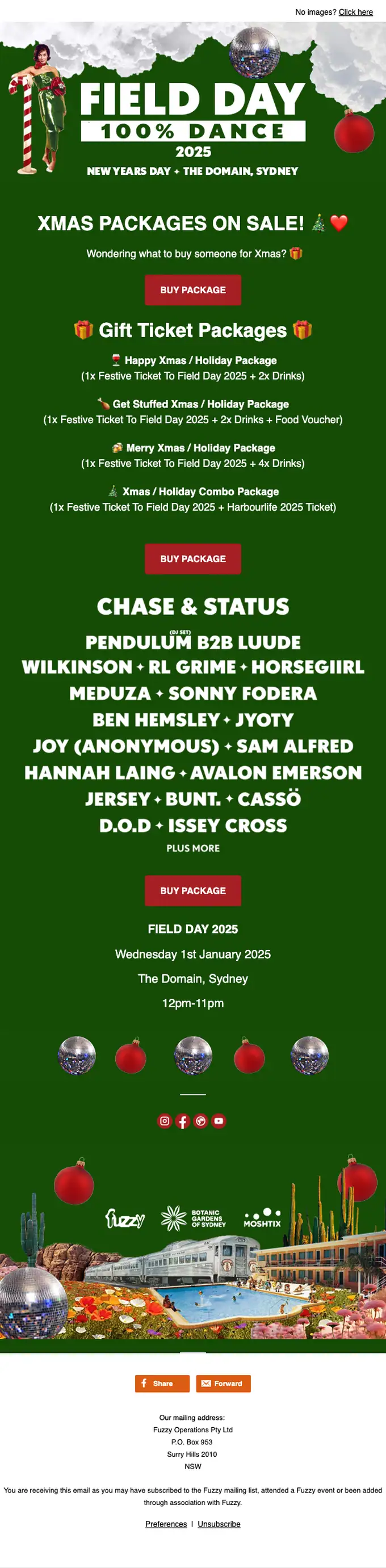 Field Day 2025 promotional email, full length
