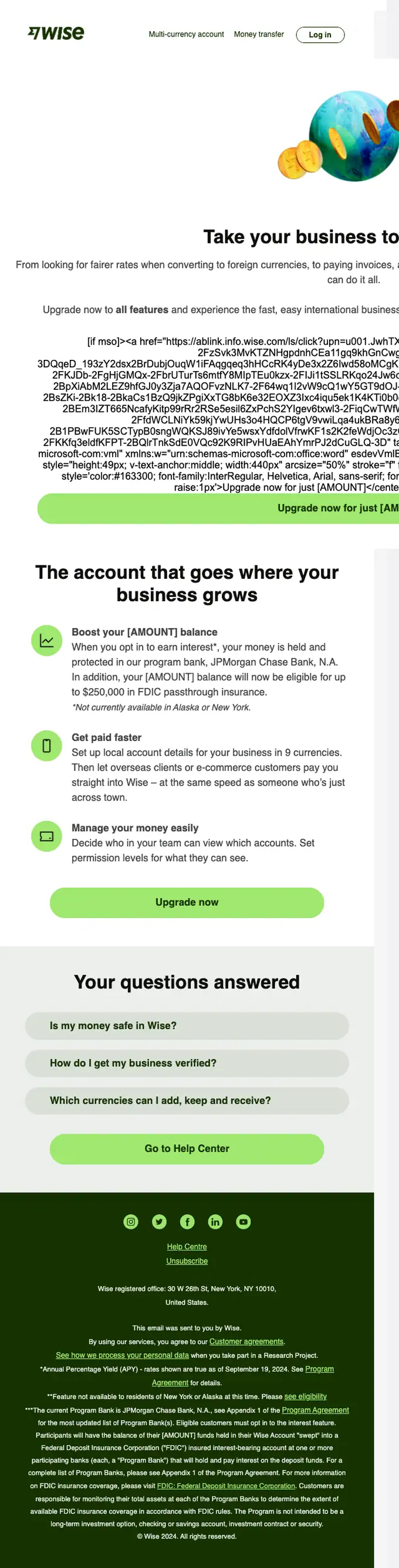 Wise Business promotional email, full length