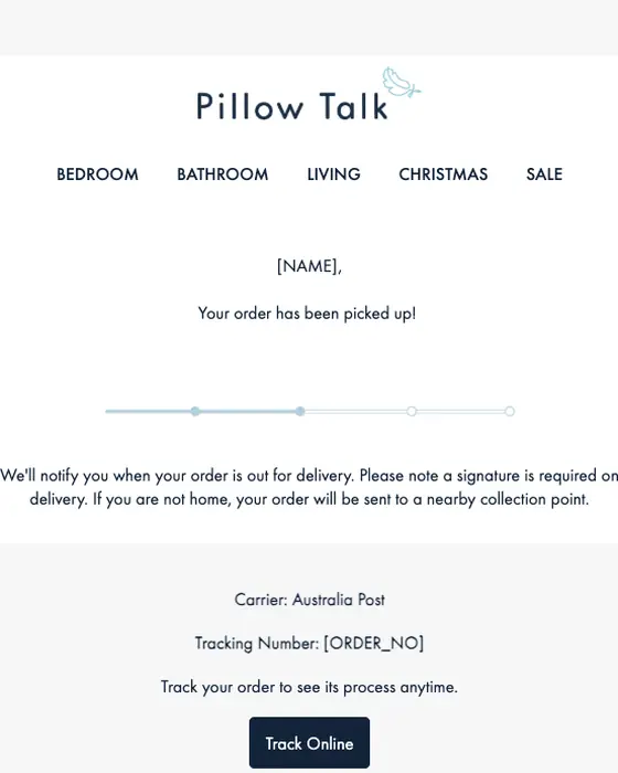 Pillow Talk shipping email