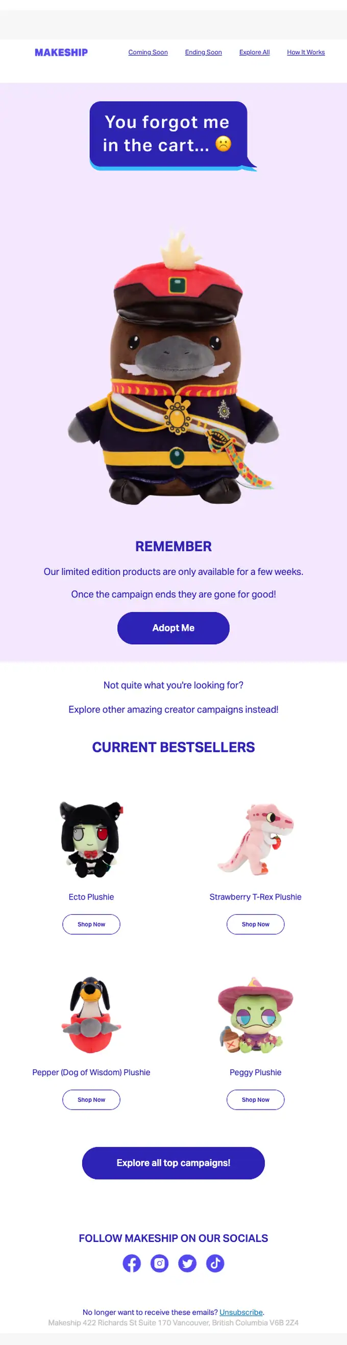 Makeship abandoned cart email, full length