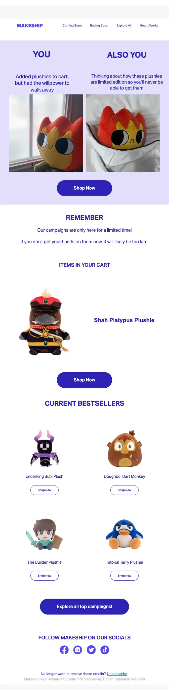 Makeship abandoned cart email, full length