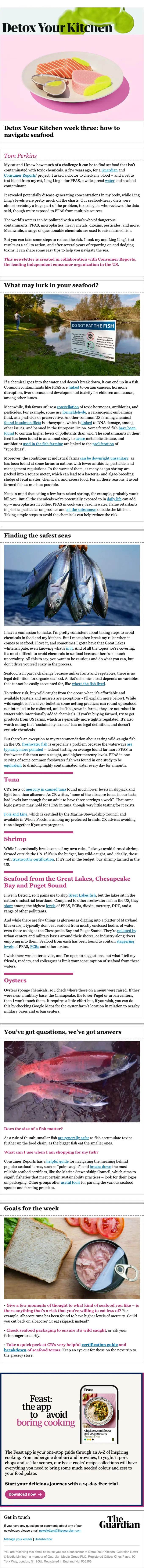The Guardian newsletter email, full length