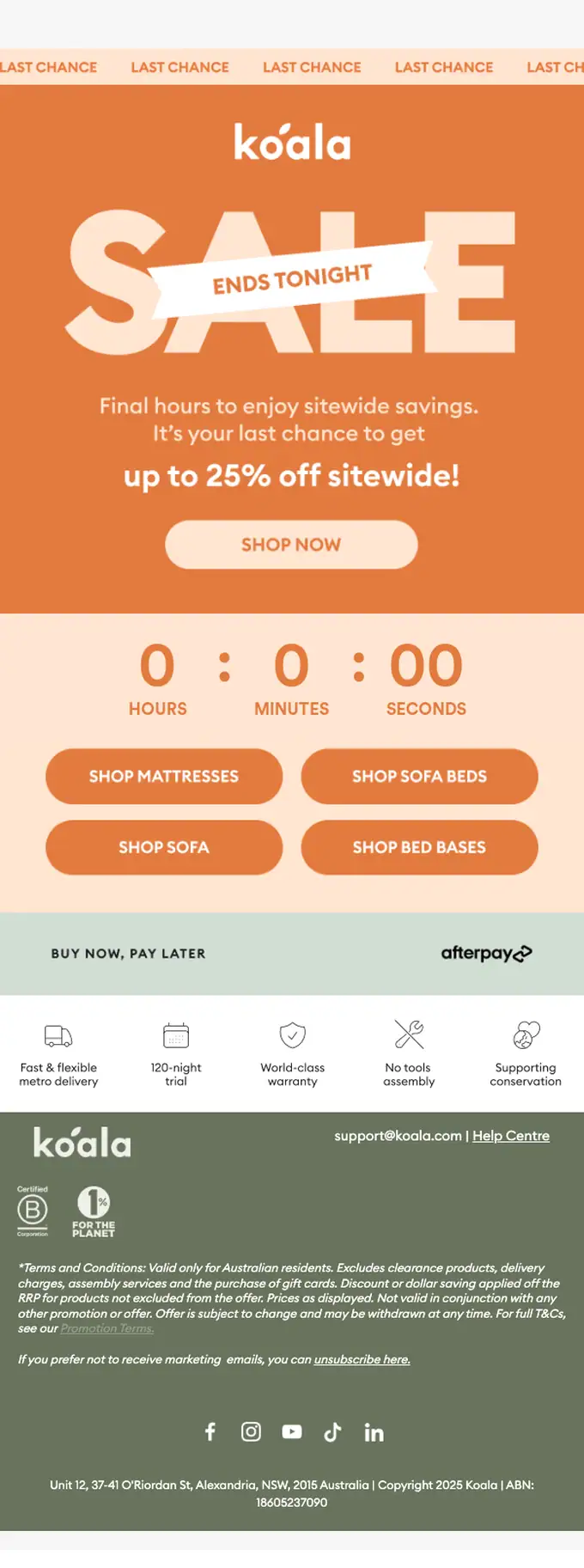 Koala sale email, full length