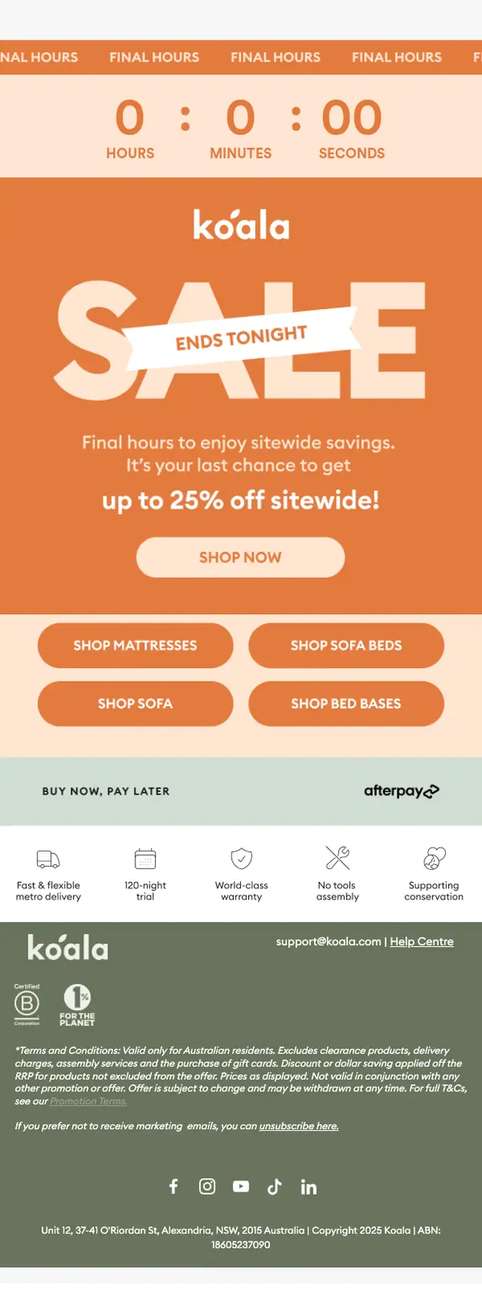 Koala sale email, full length