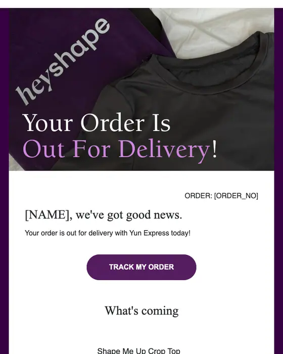 HeyShape delivery email