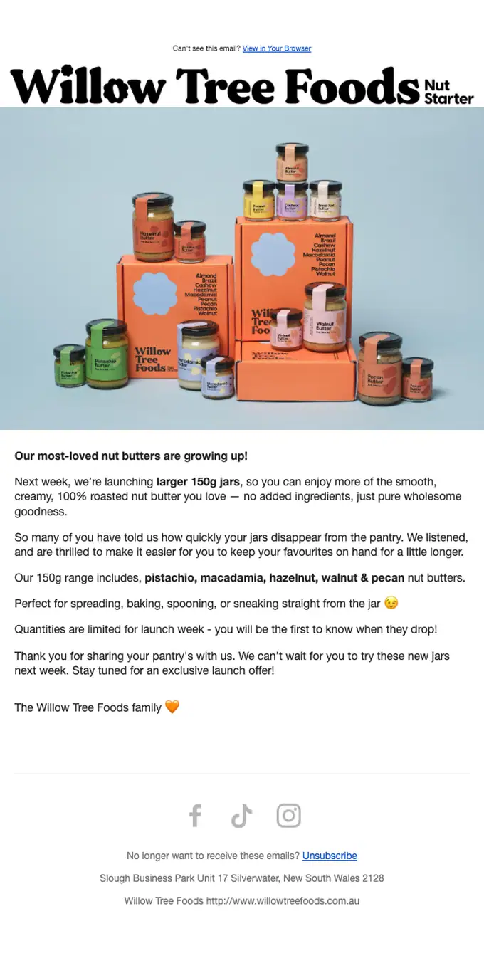 Willow Tree Foods product launch email, full length