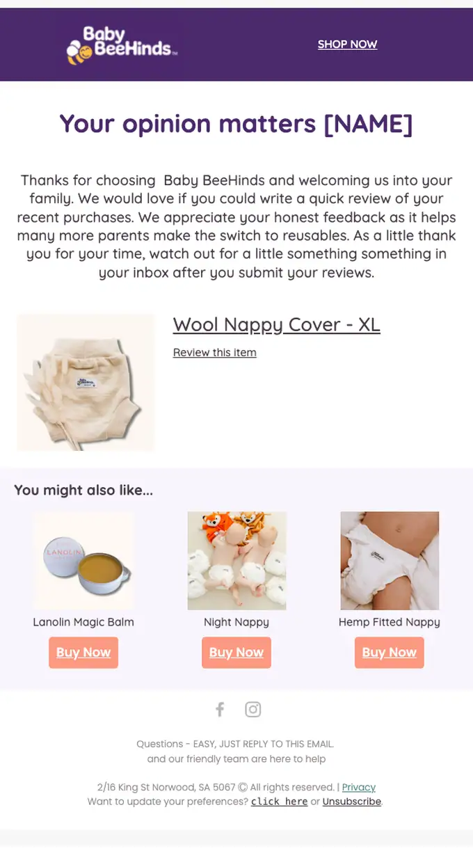 Baby BeeHinds survey email, full length