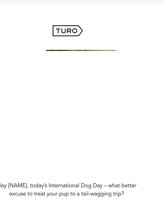 Turo promotional email
