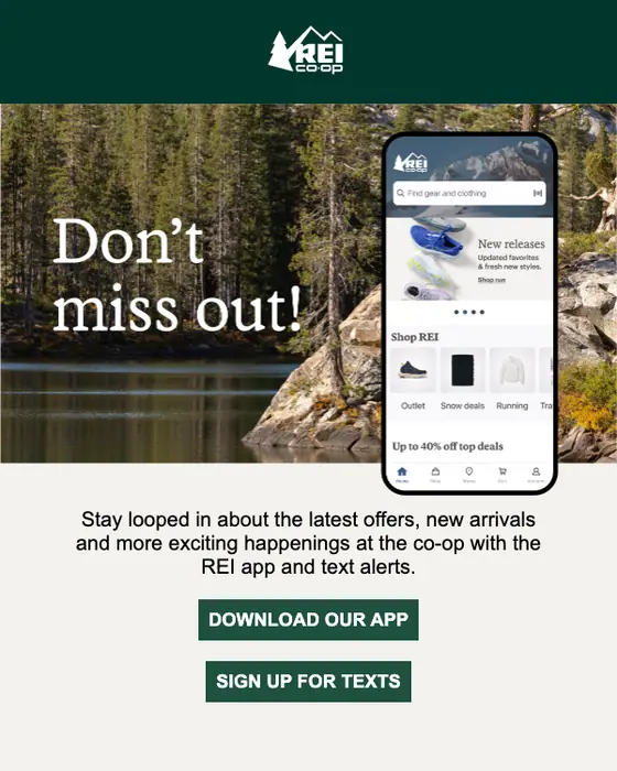 REI account notice email