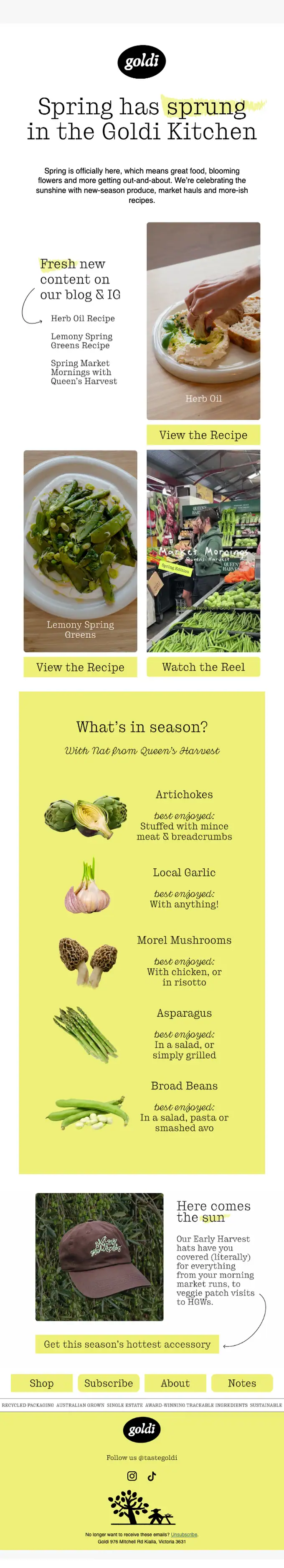 Goldi newsletter email, full length