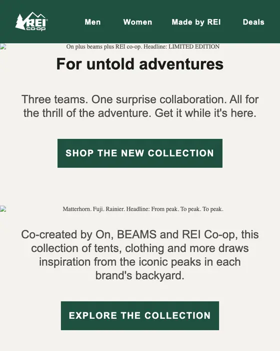 REI email