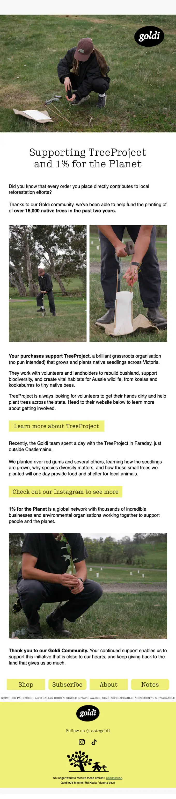 Goldi thank you email, full length
