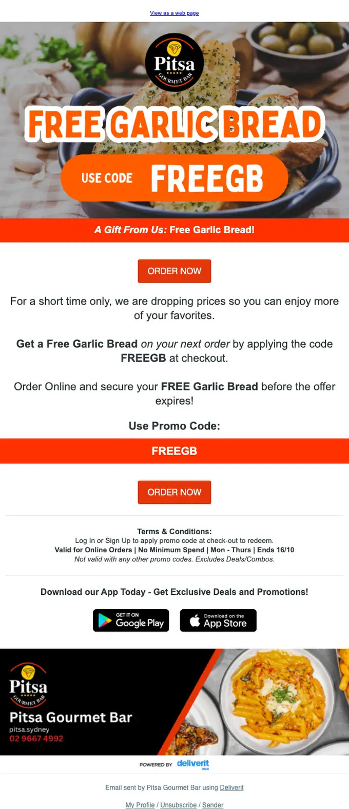 Pitsa Gourmet Bar promotional email, full length