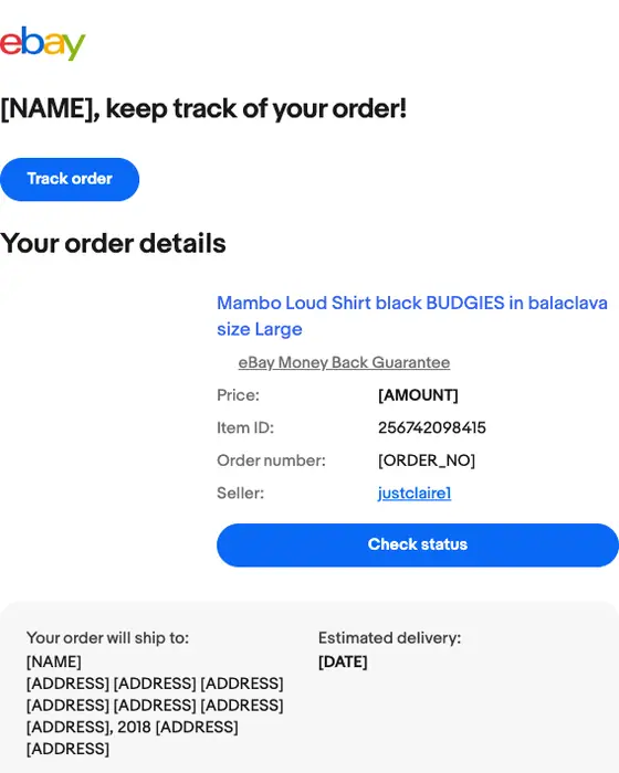 eBay shipping email