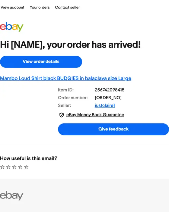 eBay delivery email