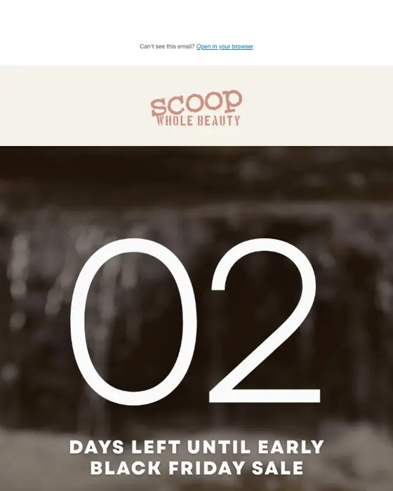 Scoop Whole Beauty Black Friday email