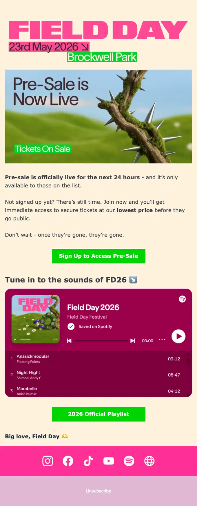 Field Day Festival promotional email, full length