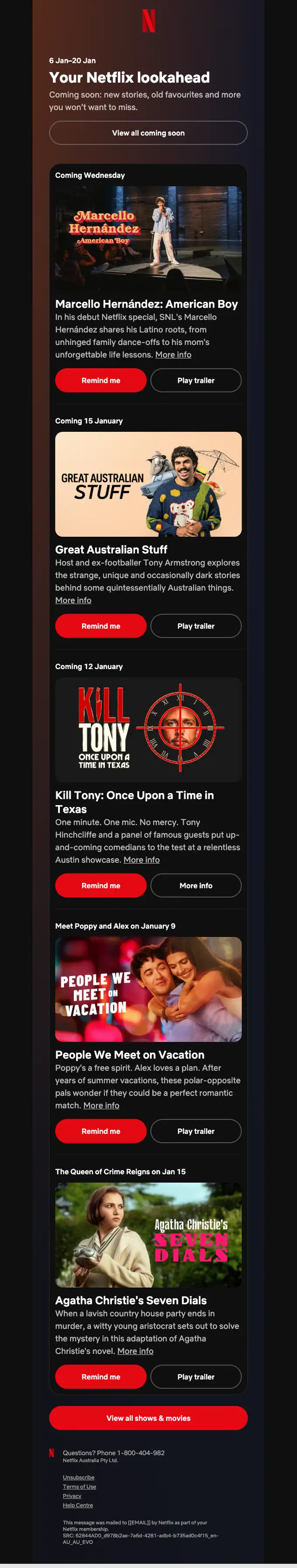 Netflix newsletter email, full length