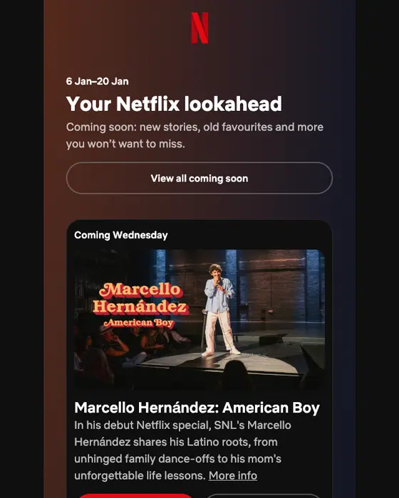 Netflix newsletter email