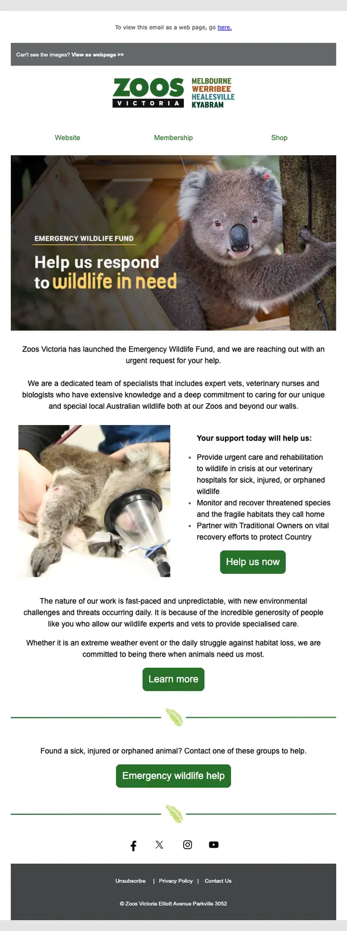 Zoos Victoria promotional email, full length