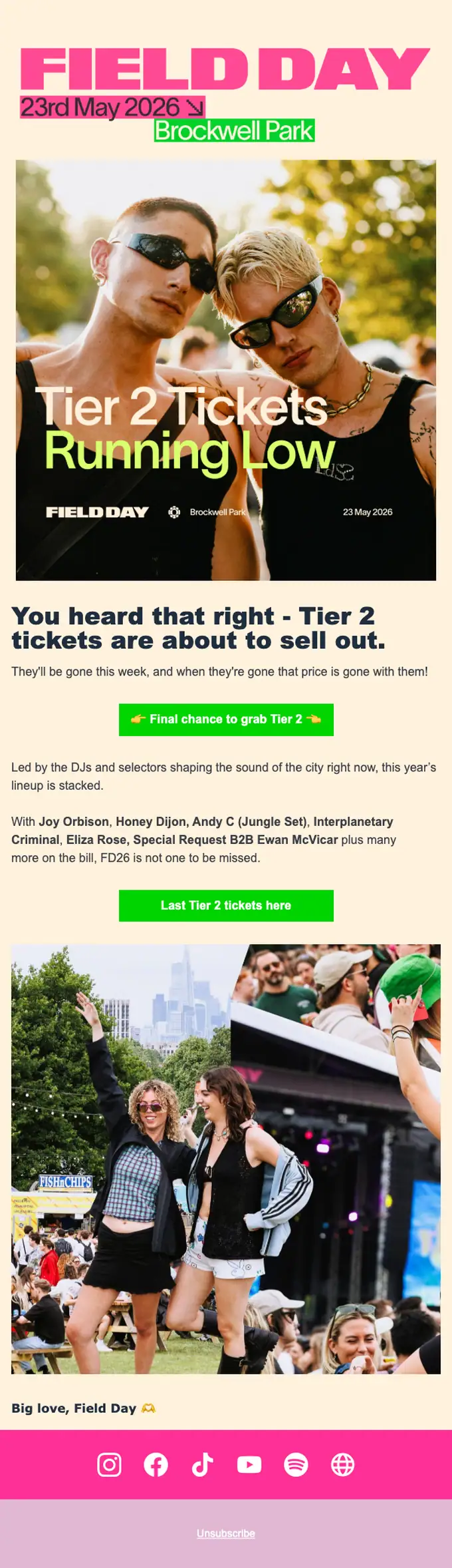 Field Day Festival promotional email, full length