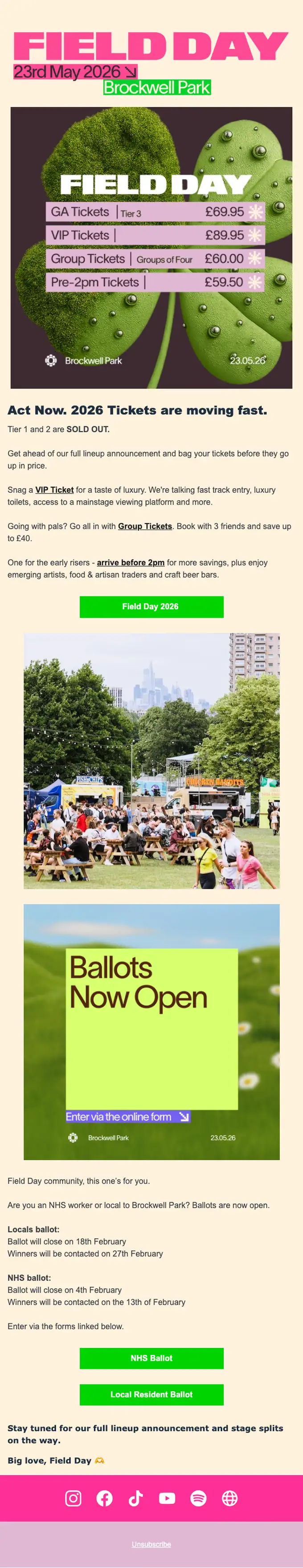 Field Day Festival promotional email, full length