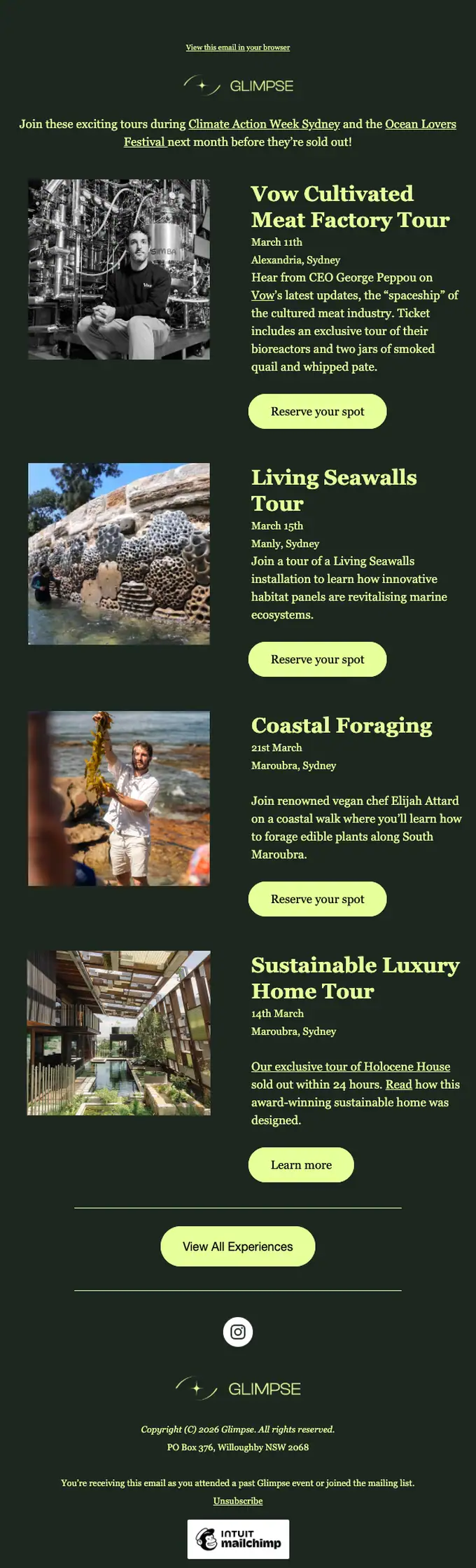 Glimpse newsletter email, full length