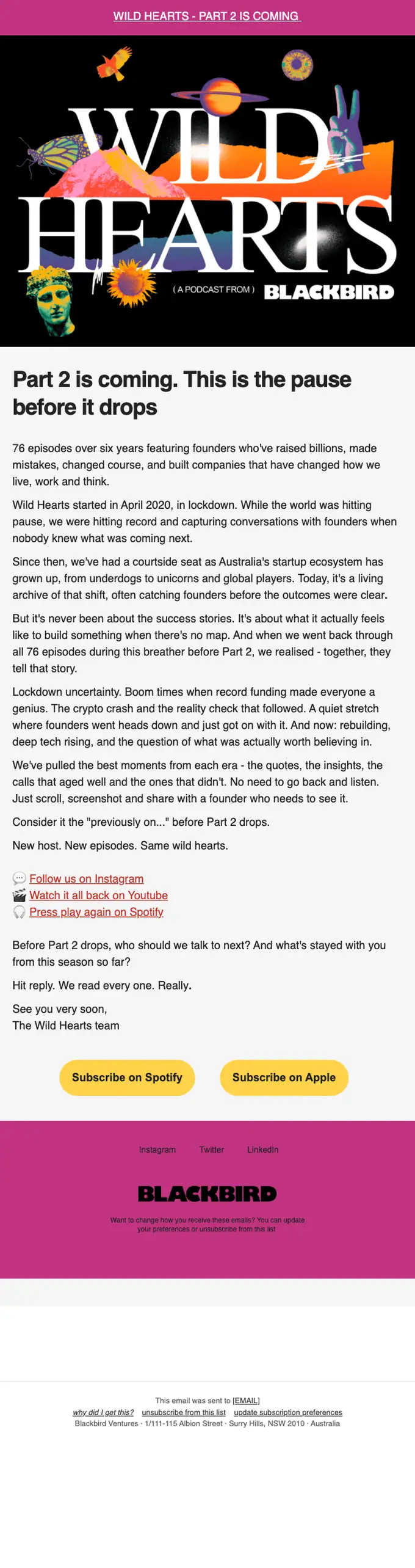 Blackbird newsletter email, full length