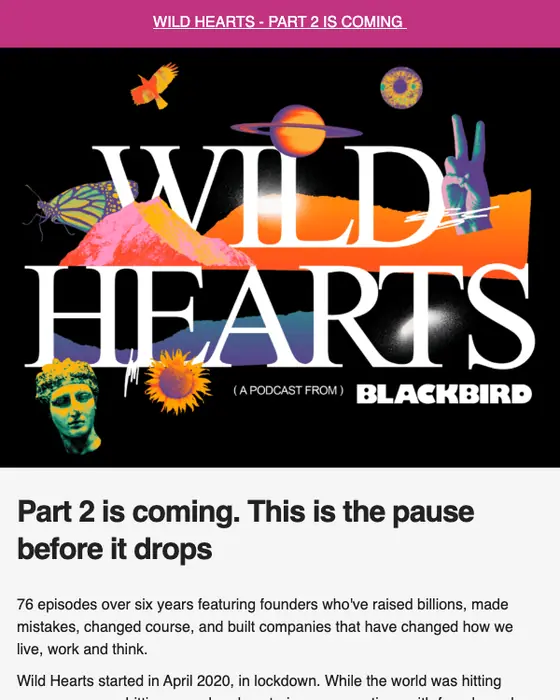 Blackbird newsletter email