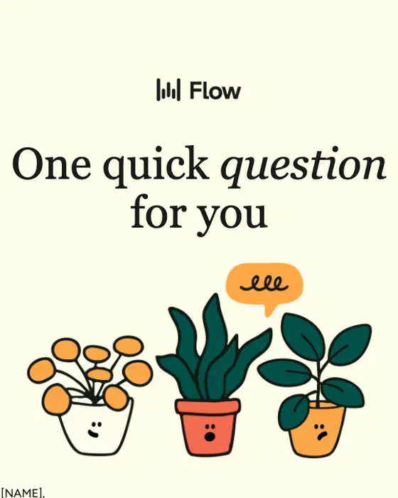 Wispr Flow survey email